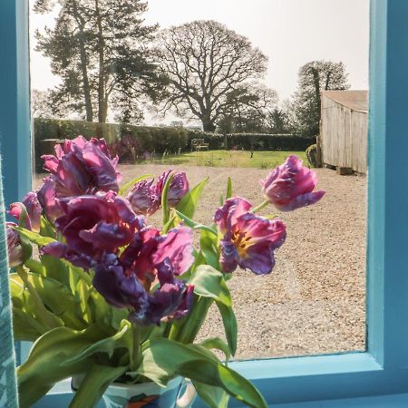 Foxglove Cottage York Esterno foto